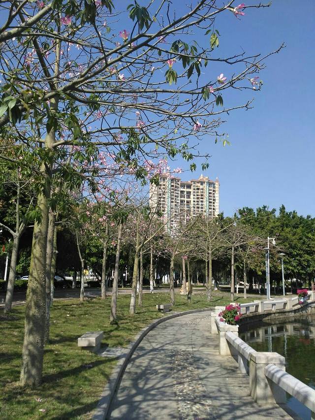 台北市立建国高级中学