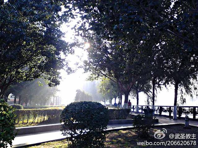 维也纳音乐广场