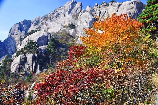 寿光渤海森林公园