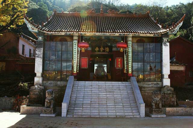 三月森林公园-海会寺