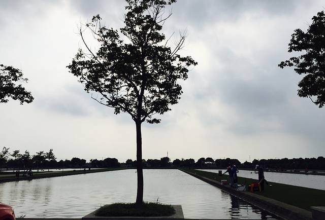 上海泖田湿地生态农业有限公司