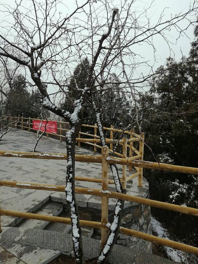 英雄山文化市场