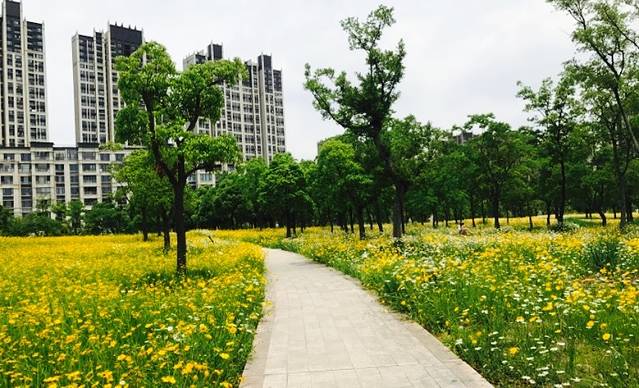 南翔留云湖法治文化公园