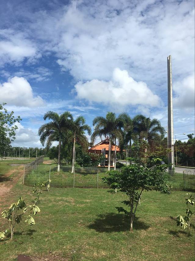 永和豆浆(胜利广场店)