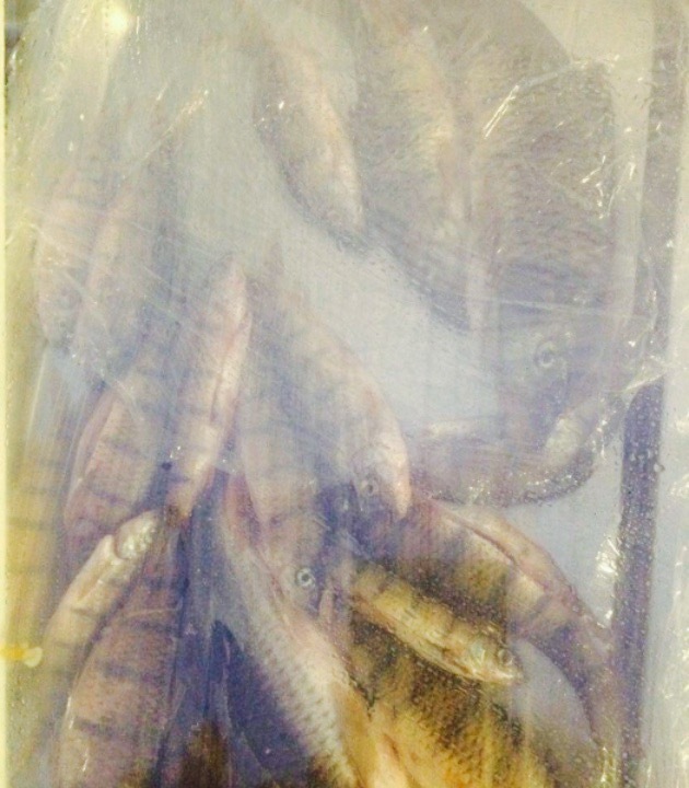 伟芳溪鱼馆(丽水香鱼一条街店)