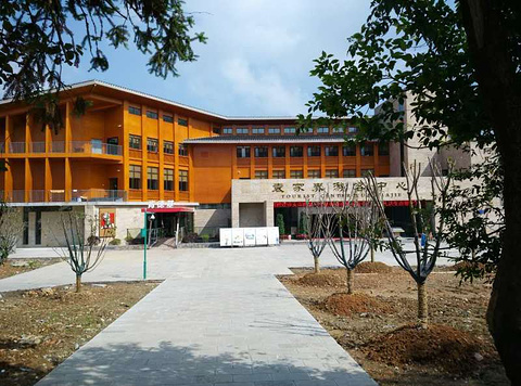 肯德基