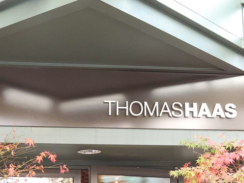 Thomas Haas(基斯兰奴店)