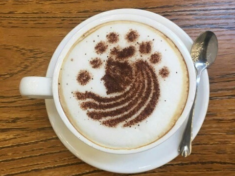 极北咖啡(798艺术区店)