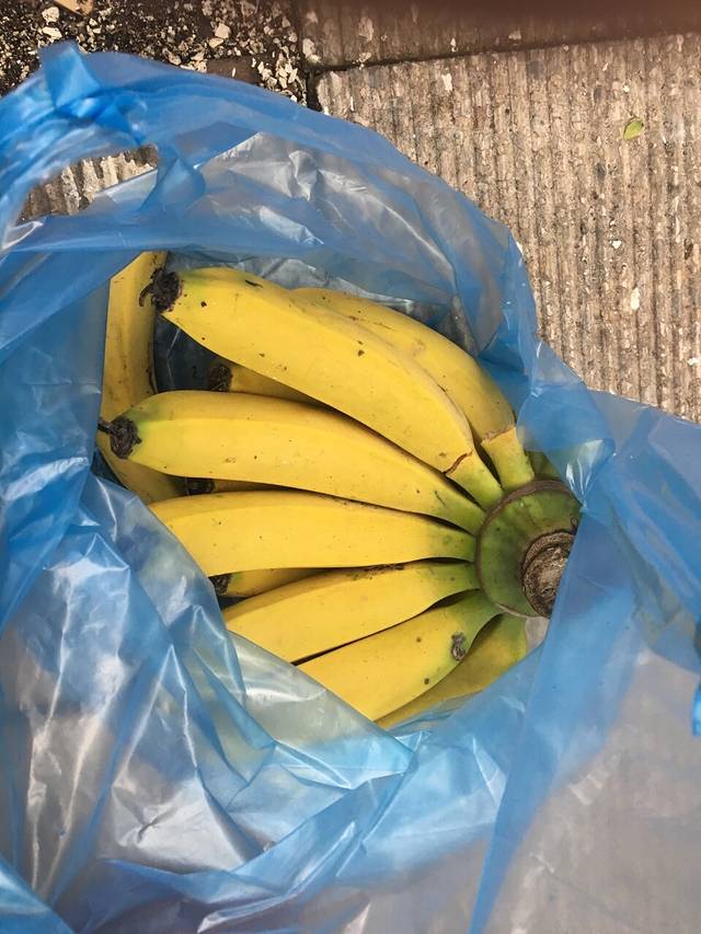 河口康源农贸市场