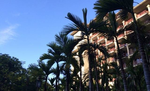 三亚湾君澜湾畔雅居度假酒店·海鲜自助bbq