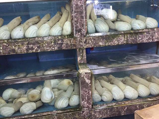 黄沙水产交易市场