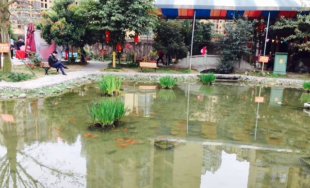 顺庭龙庄(大丰店)