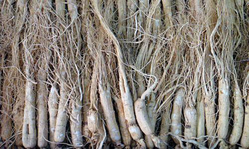 松江河旅游购物街