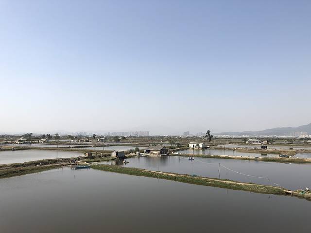 龙海红树林自然保护区