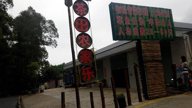 醉美茶田农家乐