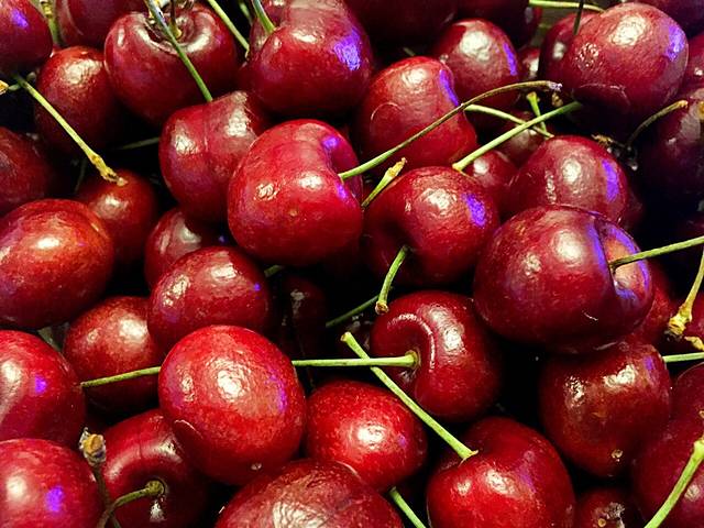 杨亮亮蔬菜种植园