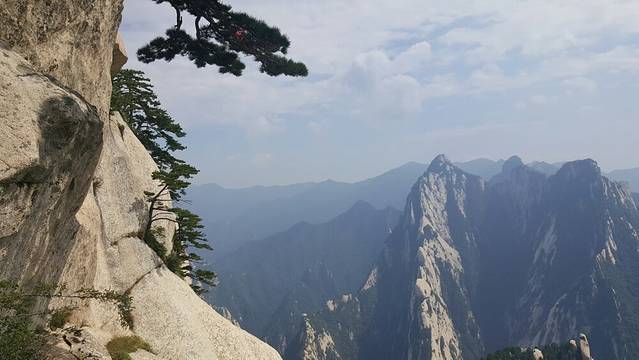 孟记传统大刀面(星源商城店)