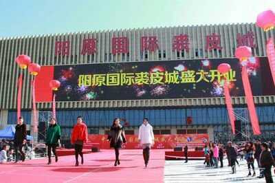 中国阳原皮毛大市场