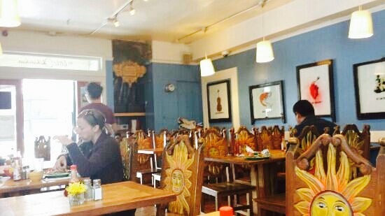 The Little Chihuahua