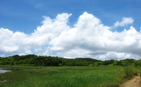 南仁山生态保护区