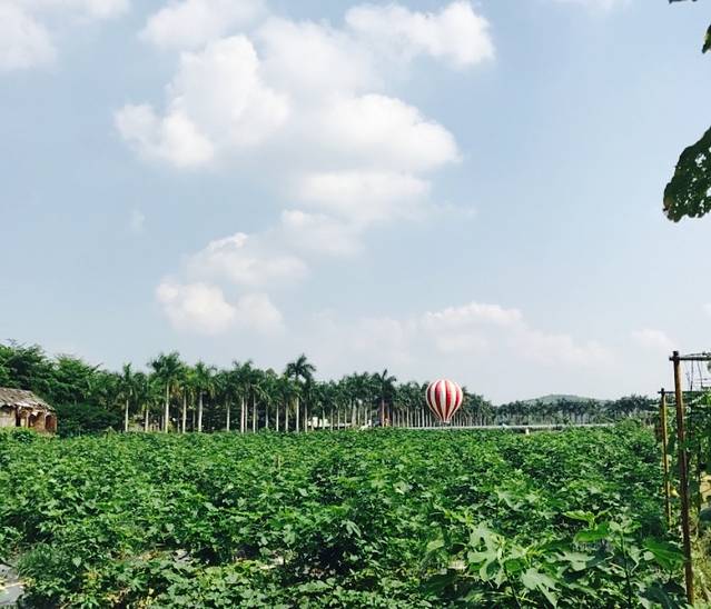 竹泉岛·起源山庄