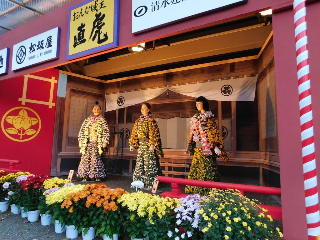 文京菊花节