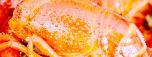 重庆鲜鱼莊(鹿鸣岛花园夏雨苑店)