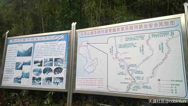 西天目林海农庄