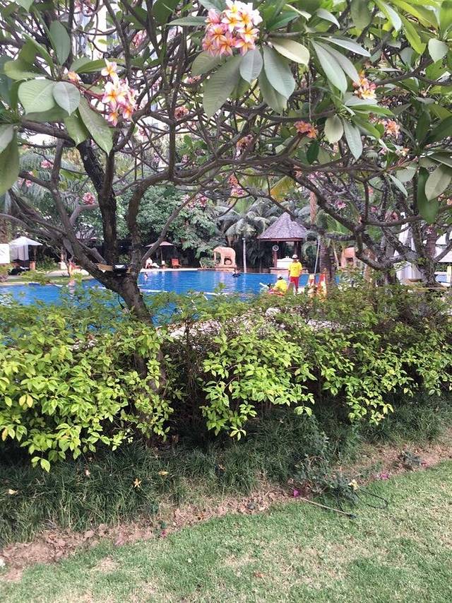 香格里拉酒店自助餐厅