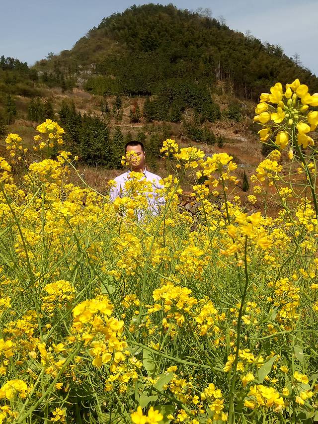 湖南省帝富莱原生态农业专业合作社