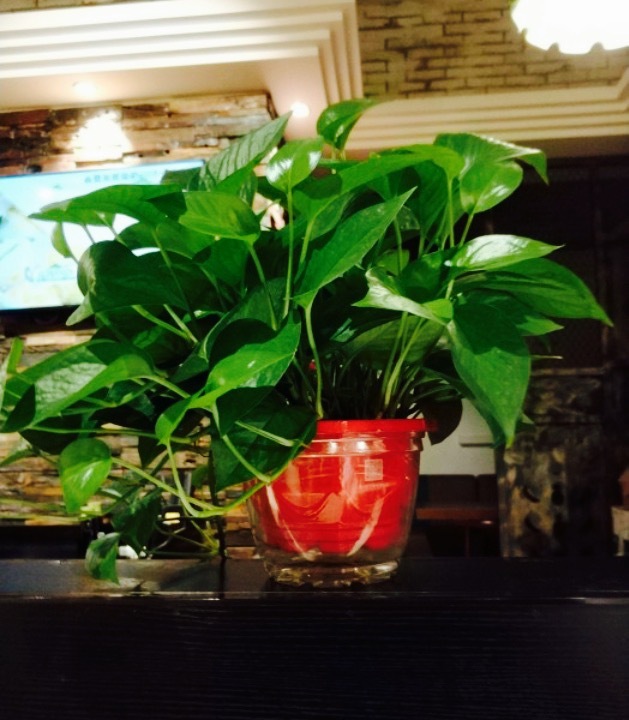 沪上生煎(五里河街总店)