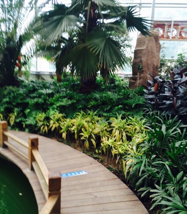 西宁市园林植物园-热带植物观光园