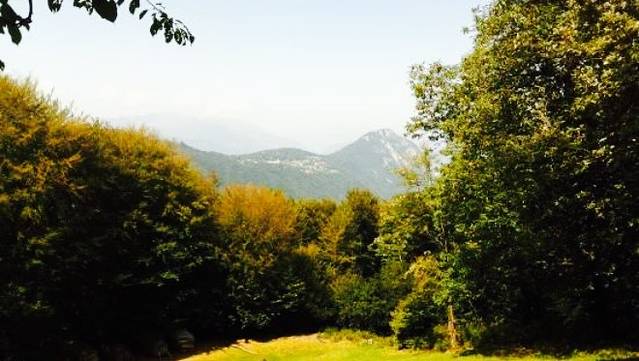 Grotto Alpe di Brusino