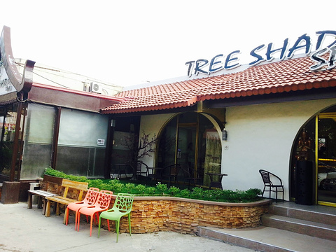 Tree Shade