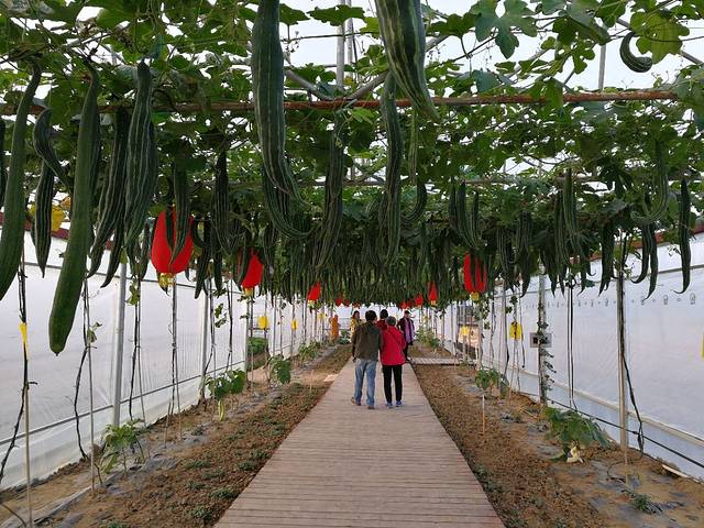 四季绿农业公园