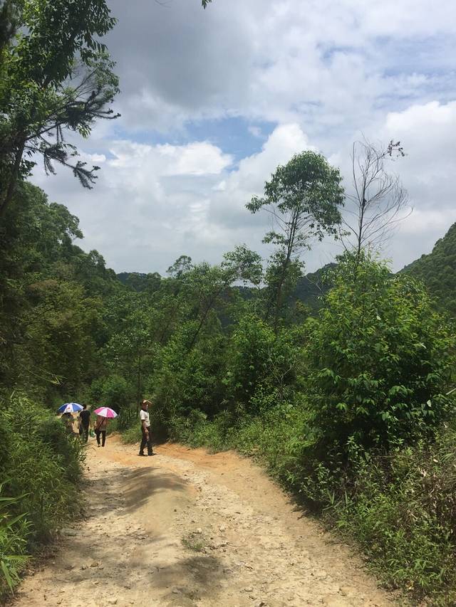 云勇国家森林公园