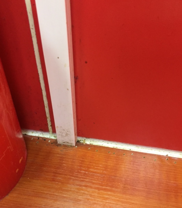 豫楚源美猴王·面(利济北路店)