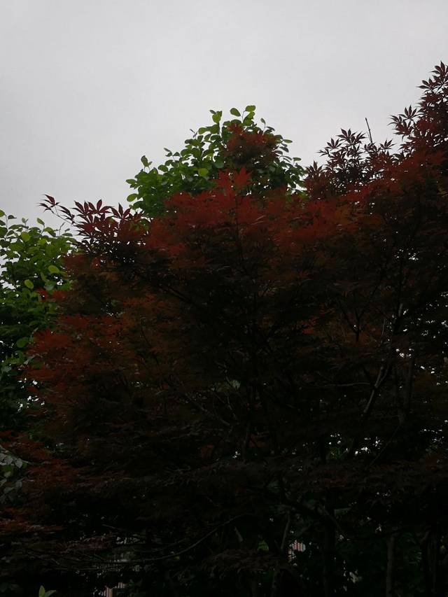 张家港购物公园