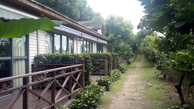 上海联怡枇杷乐园