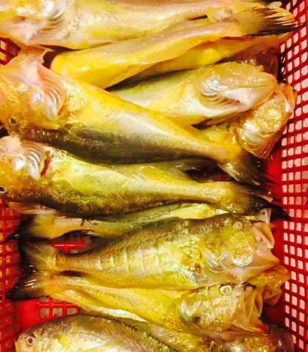 沈家门夜排档30号(广宇宝龙澜湾府邸店)