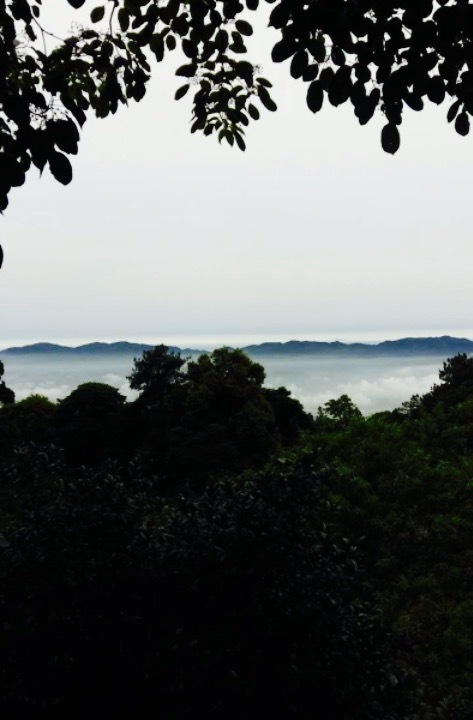 缙云山农家乐韩式避暑山庄