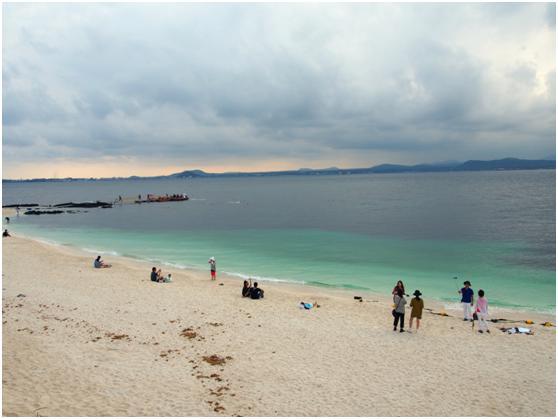 逃课去旅行之游走泡菜国