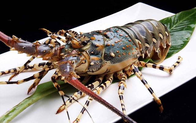 大妙火锅(东郊记忆店)