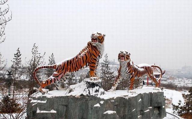 老虎山生态公园