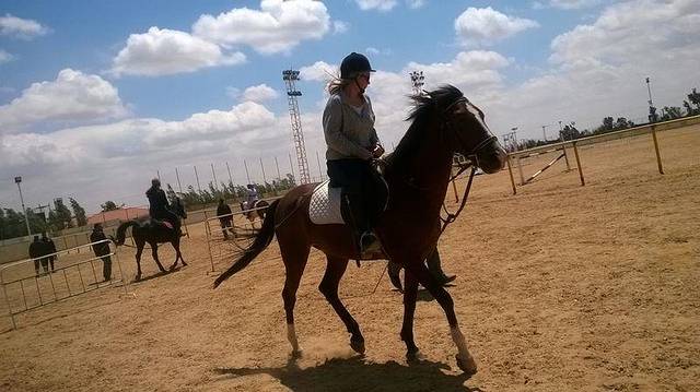 阿拉伯跑马俱乐部