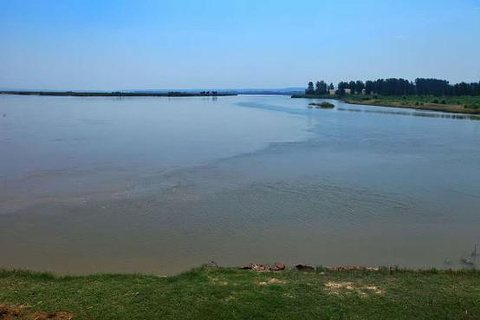 焦作温县黄河滩湿地