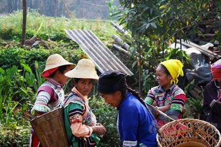 老勐乡集市(赶集日)