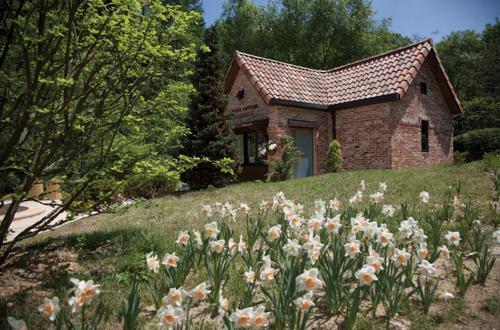 Jade Garden树木园