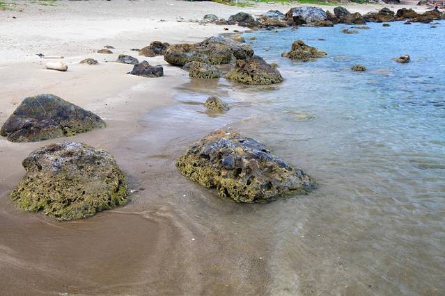 富山漁業資源保育區