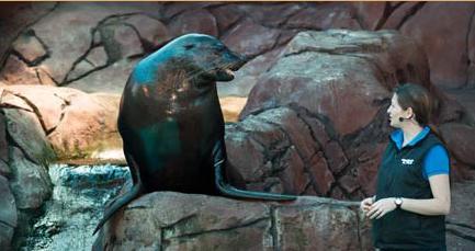 阳光海岸水族馆